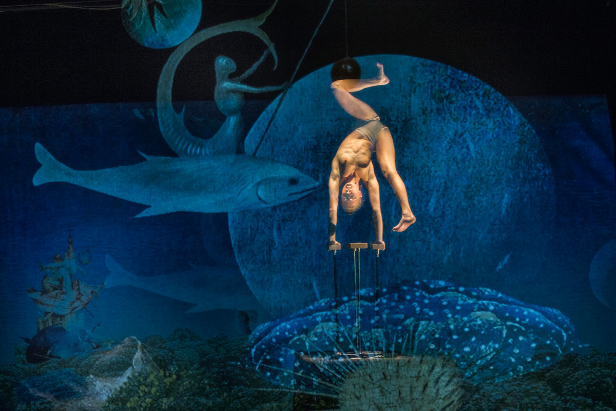 Bosch Dreams