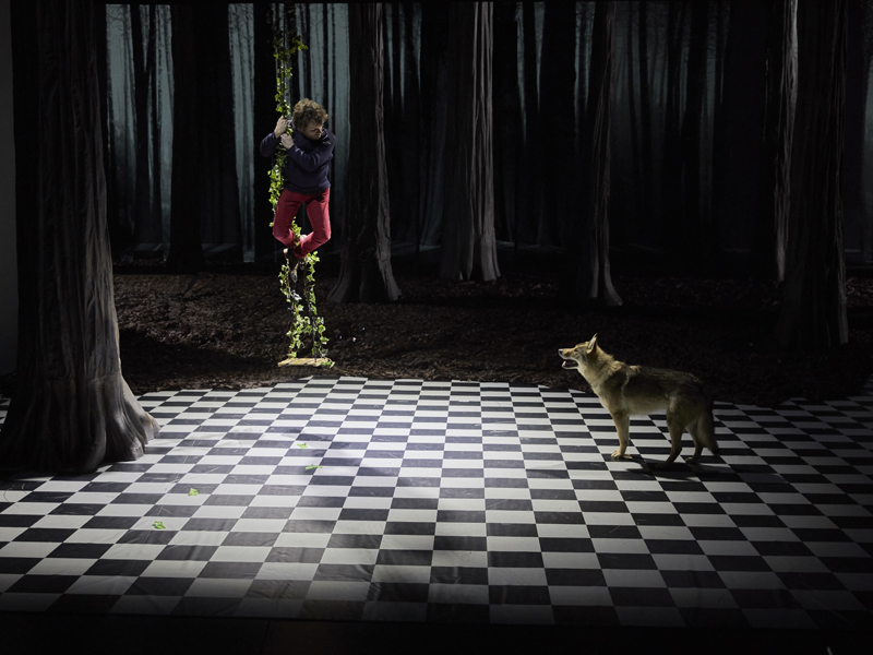 LE BRUIT DES LOUPS 3