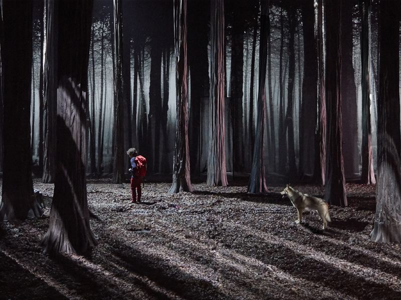 LE BRUIT DES LOUPS 4