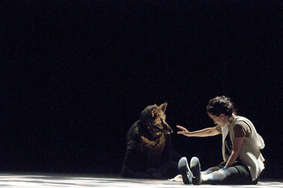 Le petit chaperon rouge 3